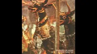 Birchville Cat Motel - Seventh Ruined Hex (FULL CD ALBUM - 2007 - Important Records)