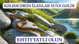 Qubadlı-Sarıyataq,Tatar.Füzuli.Kəlbəcər.Laçın.Xankəndi.