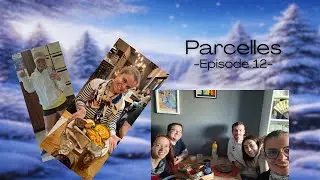 Parcelles - Episode 12 - lecture de janvier, chats et Nana