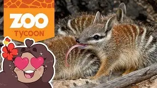 Ловкие БАРАНЫ в Крокодиловой бухте!! 🦎 Zoo Tycoon: Kangaroo Outback &bull; #11