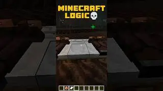 This Minecraft Logic Makes No Sense 🤯