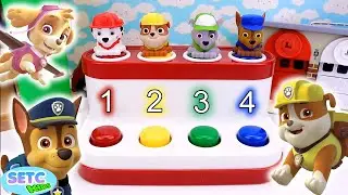 Learn Colors Shapes and Numbers with Paw Patrol Chase Marshall Skye - SETC Kids