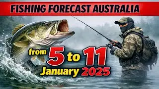 FISHING FORECAST in Australia from 5 to 11 January 2026. Drop everything and go fishing!