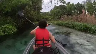 Kayaking at the Rock Springs Apopka, Florida