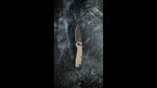 ZT 0512