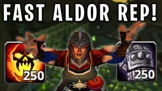 САМЫЙ БЫСТРЫЙ способ получить РЕПУТАЦИЮ АЛДОРОВ! | TBC Classic Warrior