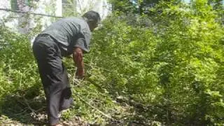 How to Clear Brush with a Machete