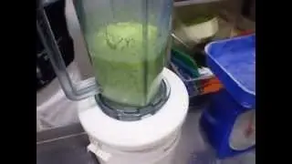Pesto de Brocoli RAPIDO