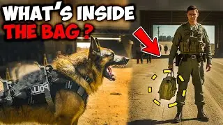 Police Dog Refused to Let the Soldier Enter the Army Camp &mdash; What Was Hidden Left Everyone Stunned.