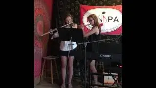 Music in the Barn Party 2017