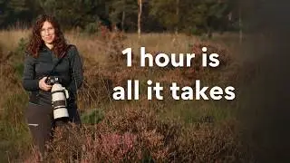 How to Find Time for Wildlife Photography (Even with a Full-Time Job)