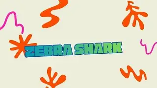 Zebra shark: Animal Art Explorers
