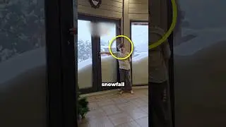 Snow Day Goals ❄️ #shorts #shortsfeed #snowfall