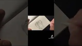 drawing a molar tooth!