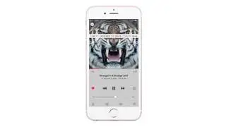 Apple Music Redesign