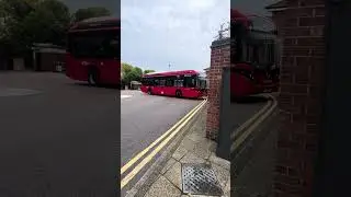 290 & 285 Passing Through Uxbridge Road / Hampton Sainsbury's - Sunday 19th October 2025 #bus