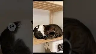 love each other