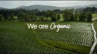 We are ORGANIC | MONTKUSH - New TV Series | COMING SOON