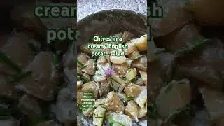 Chives in a creamy English potato salad #shorts