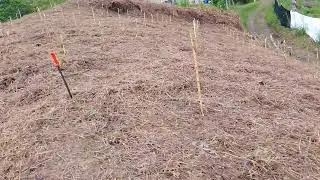 Trasado de caf&eacute; en cuadro...
