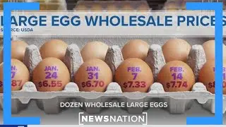 Egg prices up 53% from January 2024 | NewsNation Now