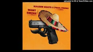 Want Smoke | Mozzy x YG Type Beat (Kaleem Beats x Prod.Trunx)