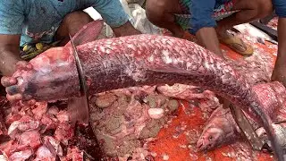 I never seen ll amazing big Gresscarp fish cutting live skills by expert fish cutter in Fishmarket 