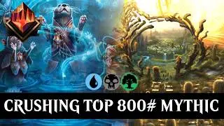 -ONLY- Sultai Can Use This Busted Synergy.. New DEVASTATING Combo