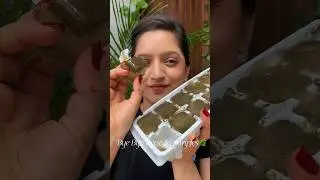 Bye bye acne & pimples🌿 #shorts #skincare