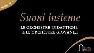 Suoni insieme  Le orchestre didattiche e le orchestre giovanili