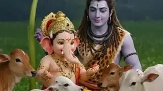 Apur sansar (Aparna)  is live
