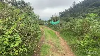 Kodaikanal Kookal 3 acres patta land sale 9361146162