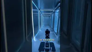 A 384 mil quil&ocirc;metros da Terra, nosso &uacute;ltimo backup est&aacute; ativo. A Arca de No&eacute; Lunar.🌑🧬