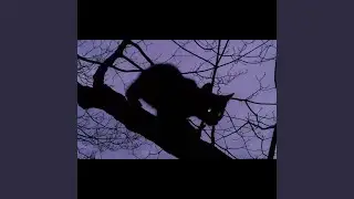 i scare my girlfriend