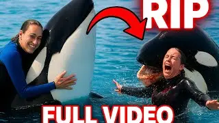 The Orca Attack That Took Jessica&rsquo;s Life 💔🐋 (Clip Video)