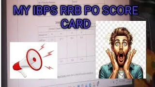 🎯 MY IBPS RRB PO SCORECARD