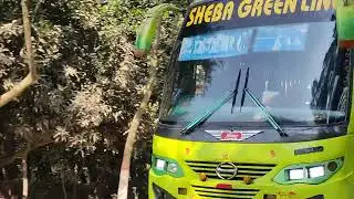 Sheba Green Line Response #buslover #viral #viralvideo #shebagreenline #shorts