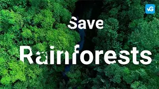 Save Rainforests using the viaGood app