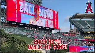2023 ZACH NETO LIVE WALK-UP SONG! | 2023 Angels Baseball
