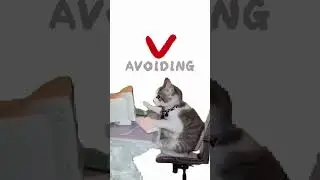 Social anxiety explained by kitty. #cat #memes #story #anxiety