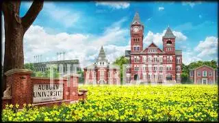 College Daffodils Projection (Animated) Preview
