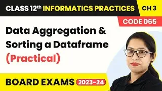 Data Aggregation & Sorting a Dataframe (Practical) (Code 065) | Class 12 Informatics Practices Ch 3