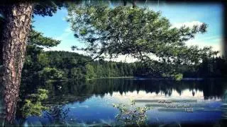 Arctic Moon-Starships Over Alice (Original Mix)