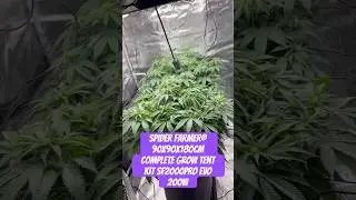 Spider Farmer&reg; 90X90X180cm Complete Grow Tent Kit SF2000PRO EVO 200W  #crazybud #420 #growled