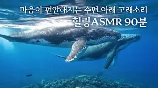 수면 아래에서 들려오는 고래소리 힐링 ASMR🐋🌊 | 깊은 휴식과 수면Whale Sounds Under the Ocean Surface Asmr