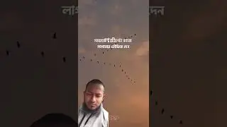 #আনিছুর_রহমান_আশরাফীর_নতুন_ওয়াজ #islamicshortvideo #beautiful #respect