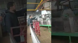 Ooty &bull; Tea Leaves Processing