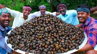 Snail Cooking and Eating Healthy Snail Recipe Cooking South Snails in Village vlg cooking 2023
