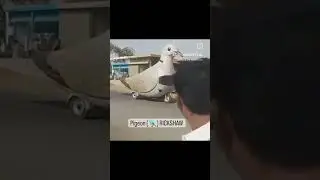 Apni Revo Hy Yah😄 #youtubevideo #viral #youtubeshort #funny