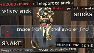 SNAKE UPDATE (Gameplay on Snakewater)